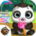 Panda Lu Baby Bear City